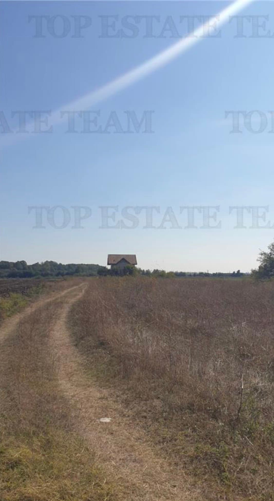 Prime Land Intravilan de For Sale: in Corbeanca, Padurea Petresti view 2
