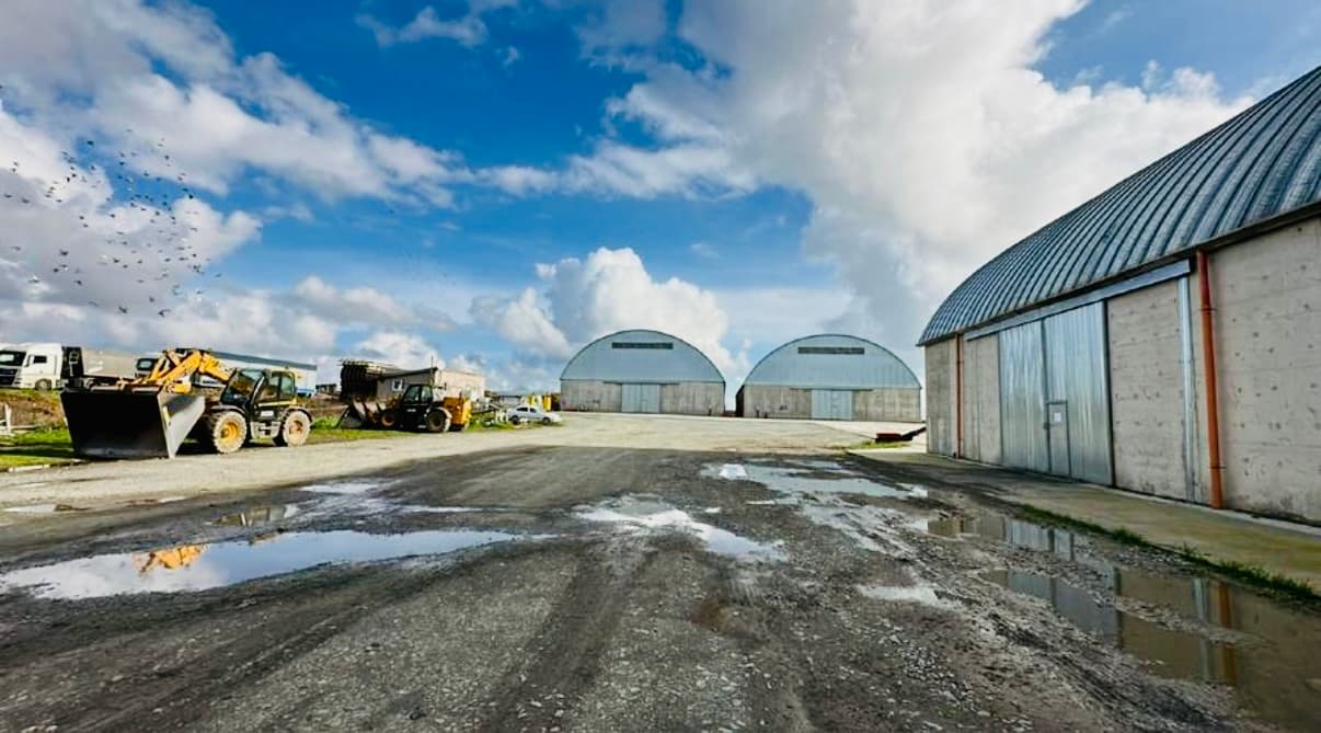 AGIGEA, CONSTANȚA | COMPLEX DE DEPOZITARE ȘI INFRASTRUCTURĂ AGRICOLĂ view 2