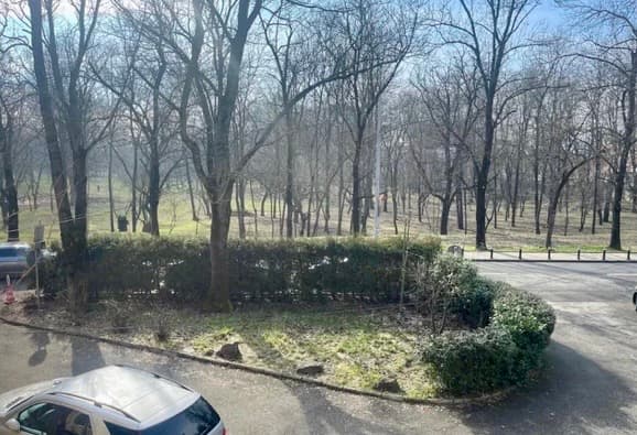 Villa cu 7 camere Suprafata de 240 mp Floreasca view 2