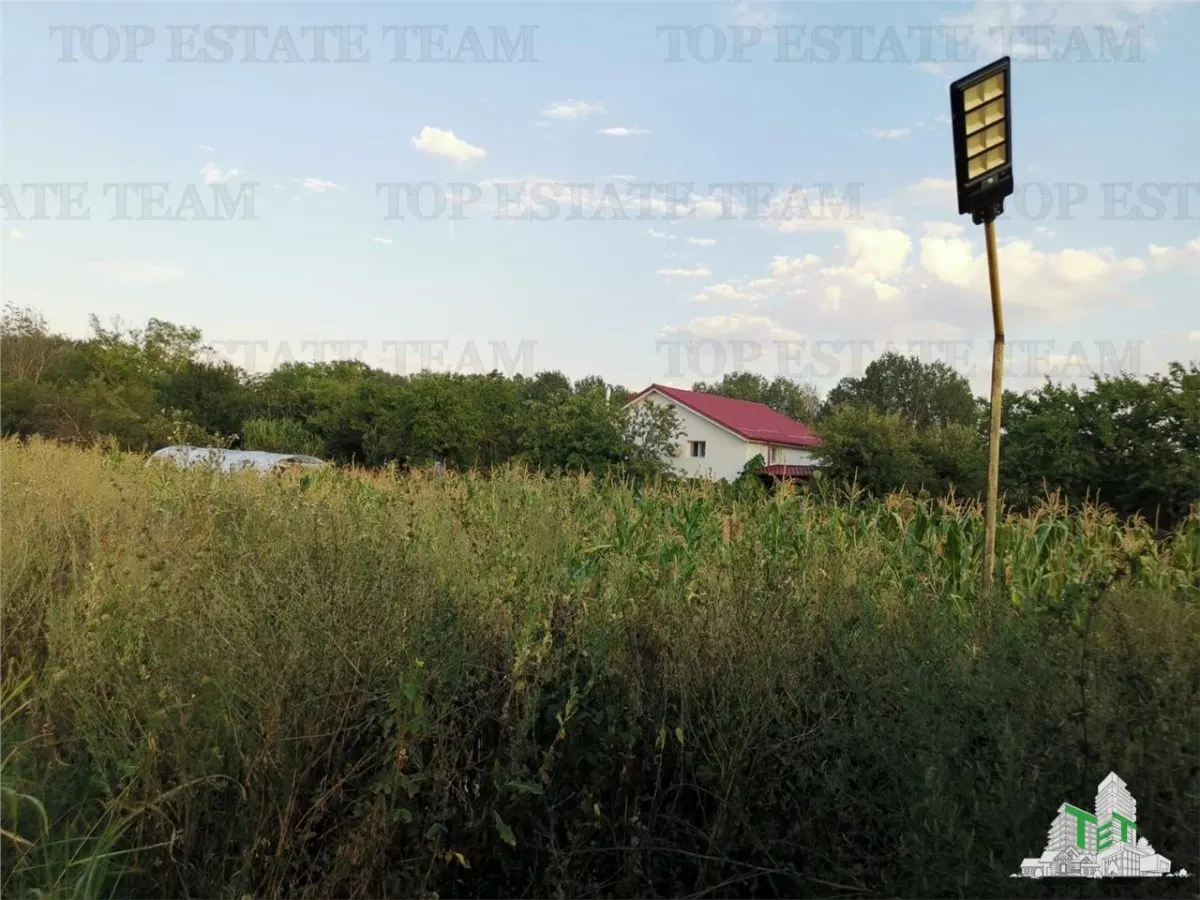 Adunatii Copaceni, Prime Land 1212 mp, hala 136 mp, casa 37.5 mp cu pivnita 12 mp — Photograph 1
