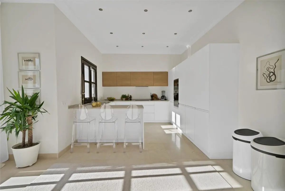 Villa Horizon 16 — San Pedro Beachside Private Estate, Benahavis view 21